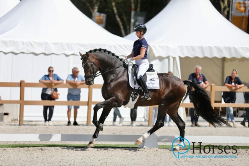 Winnaar Pavo Cup Hengstenstation van Uytert